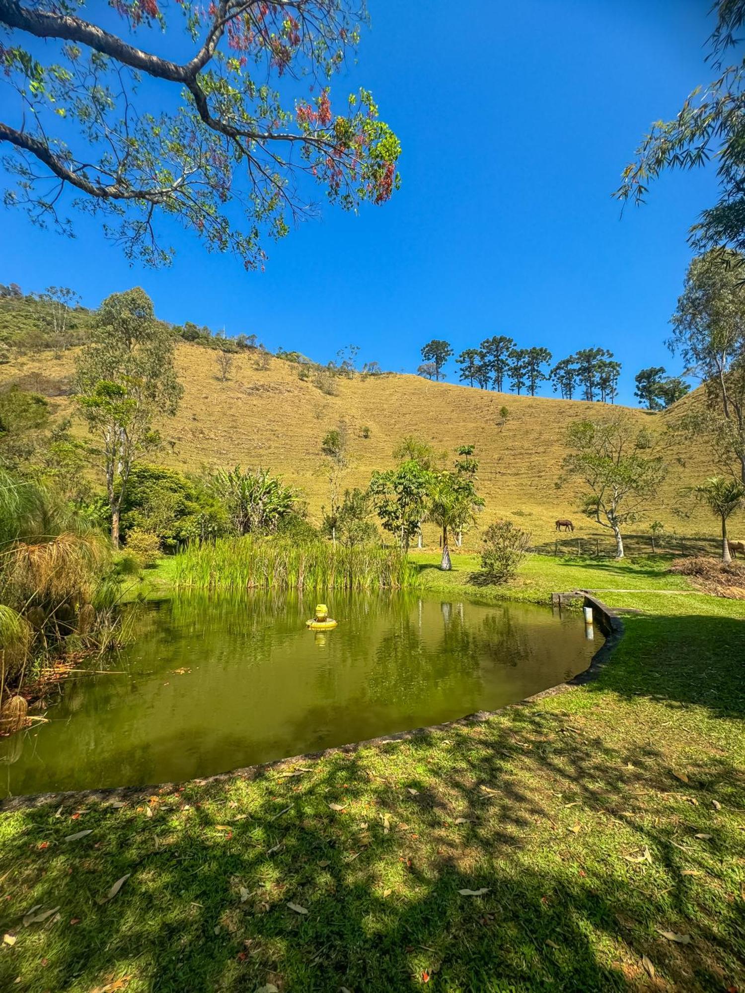 Pousada Rio Dos Cristais Visconde De Maua Dış mekan fotoğraf